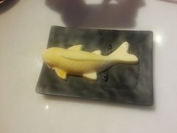 干酪鱼