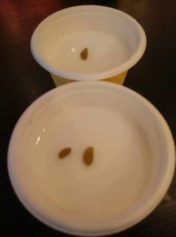 酸奶