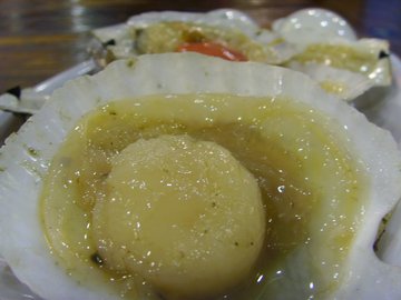 扇贝