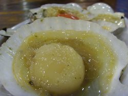 个个儿都那么肥美