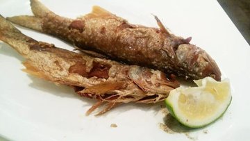 福仔鱼:38米