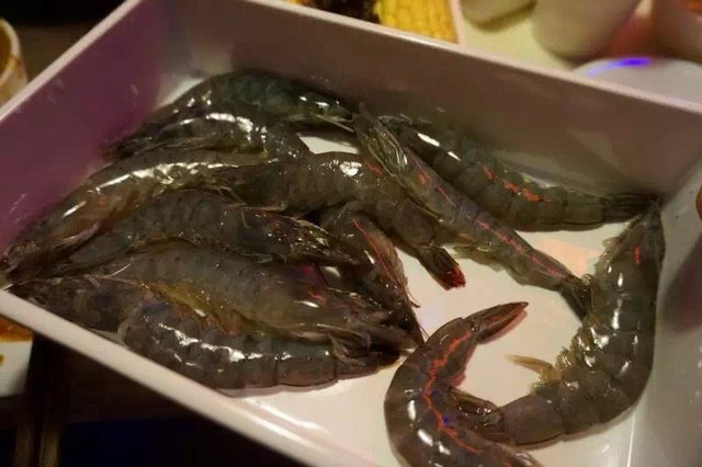虾