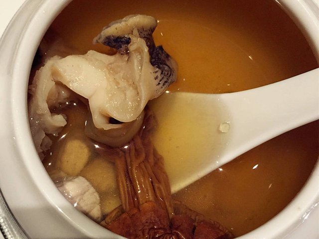 真菌海蚌汤