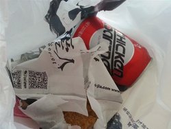 鸡排和伴侣
