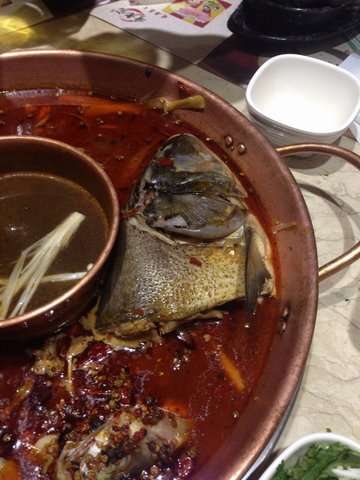 美蛙鱼头
