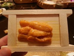 海胆