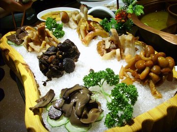 七彩云南组合