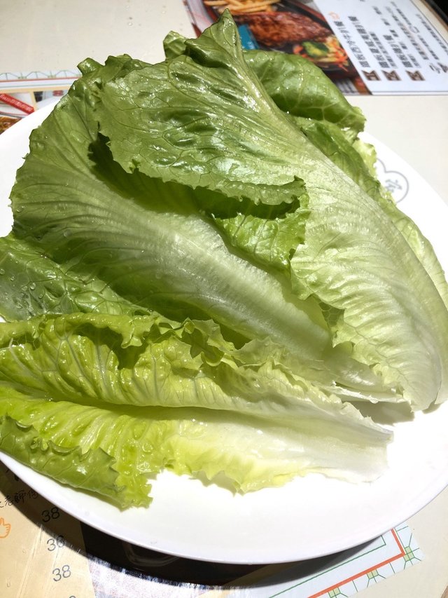 生菜