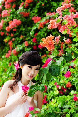 月爱莉