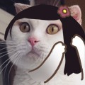 薛大