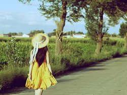 叶子飞扬