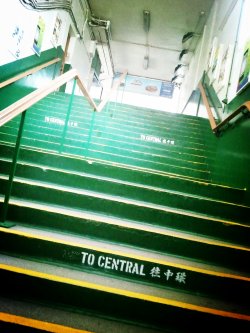 Joy千帆过了还在等