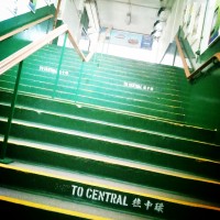 Joy千帆过了还在等