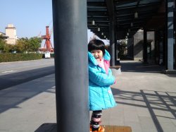 兜兜ZL