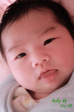 雯宝贪恋妍小乖