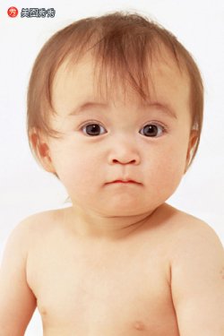 布朗尼小兔