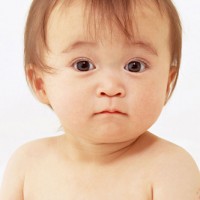 布朗尼小兔