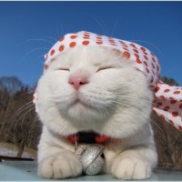 yoyoo!~