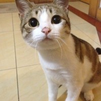 娜娜乐