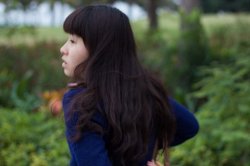 纸鸢
