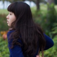 纸鸢