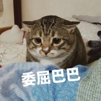 姜晶晶