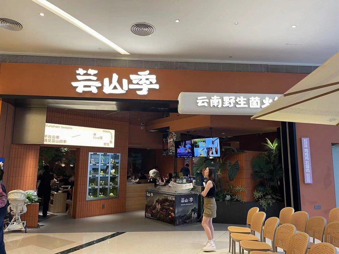 芸山季云南野生菌火锅 (海雅缤纷城)