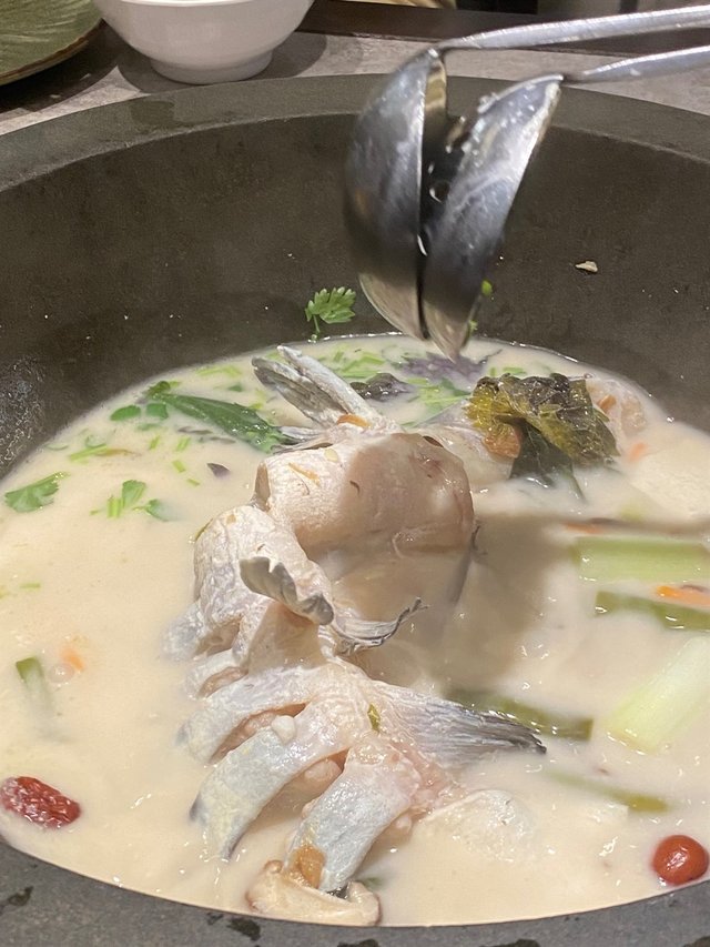江團魚