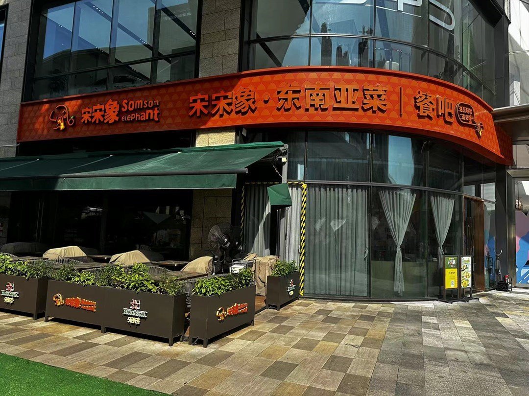 宋宋像東南亞菜 (光明藍鯨世界)