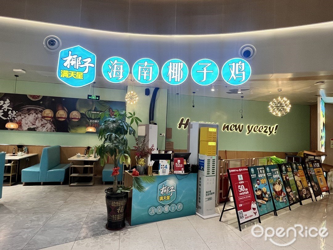 椰子滿天星海南椰子雞火鍋 (順聯公園里)