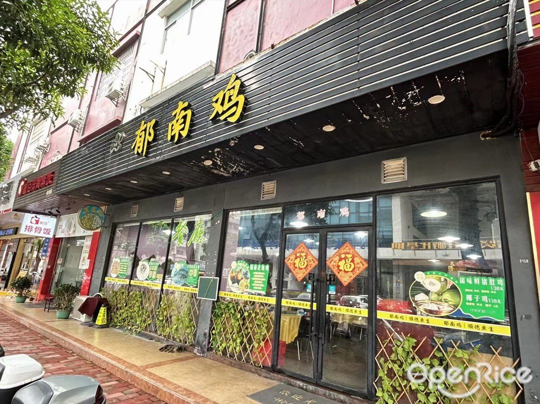 郁南鸡·椰子鸡·鲜猪肚鸡