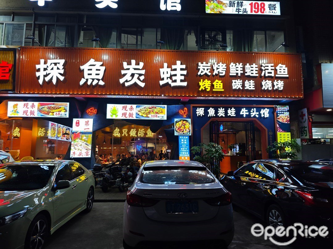 探魚炭蛙 (康樂中路)