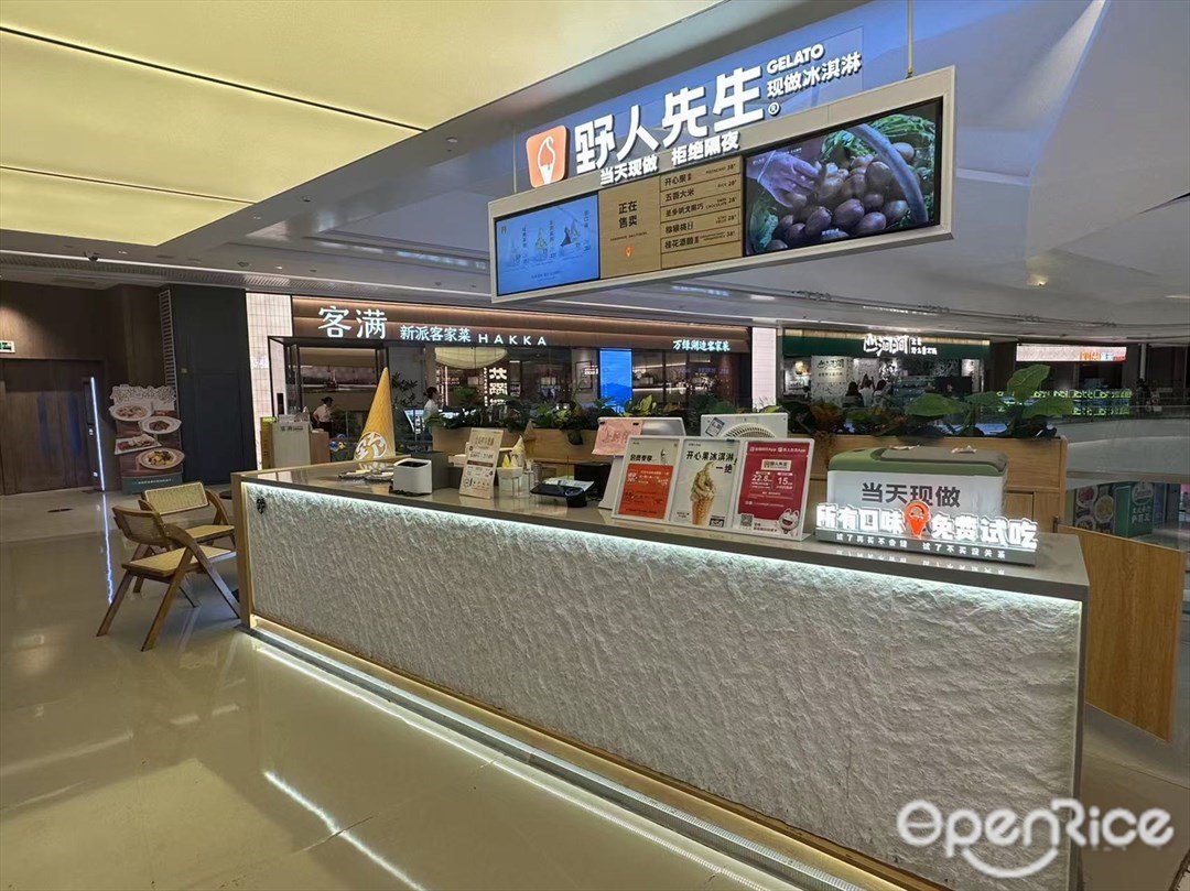 野人先生现做冰淇淋 (映月湖环宇城)